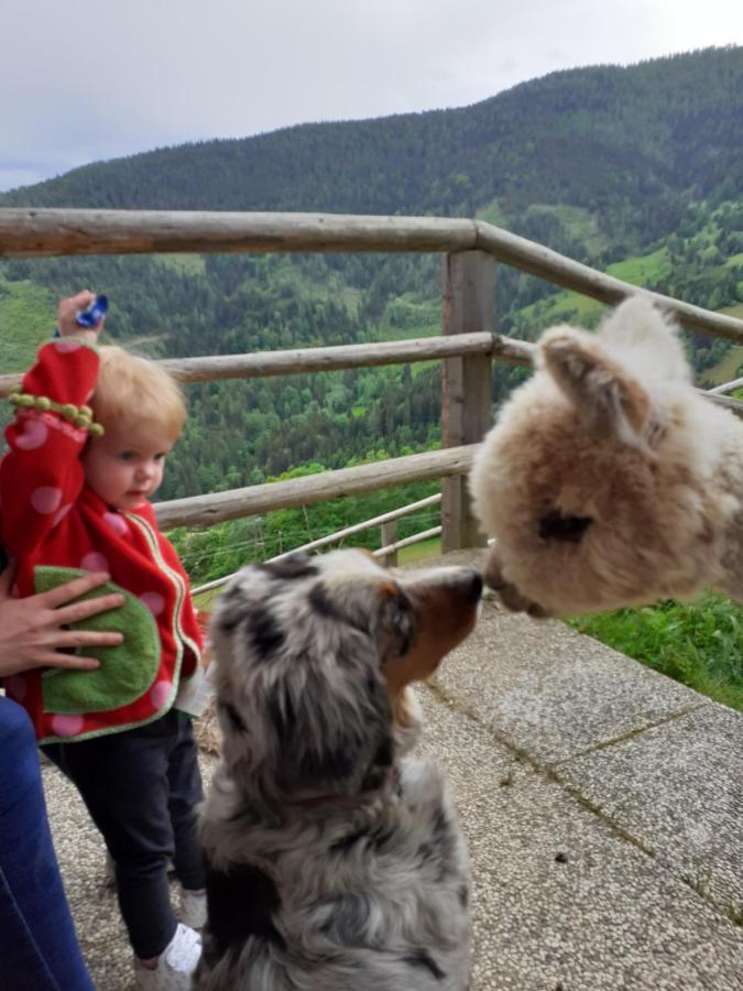 Ferienwohnungen Am Pietschacherhof Hochrindl Exteriör bild