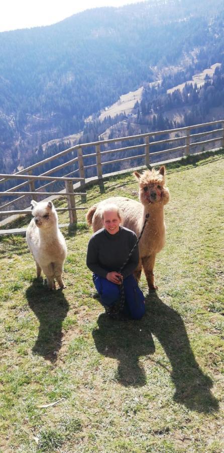 Ferienwohnungen Am Pietschacherhof Hochrindl Exteriör bild